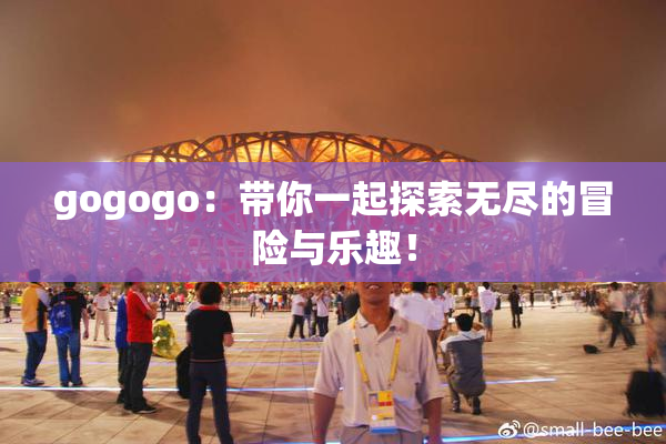 gogogo：带你一起探索无尽的冒险与乐趣！