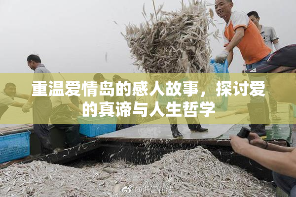 重温爱情岛的感人故事，探讨爱的真谛与人生哲学