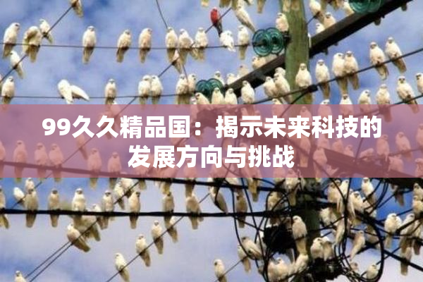 99久久精品国：揭示未来科技的发展方向与挑战