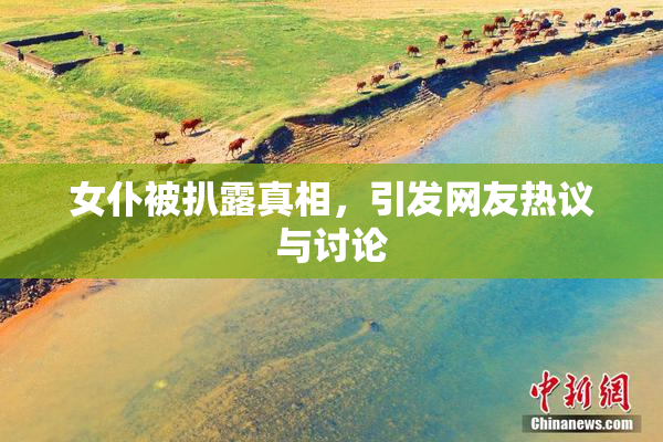 女仆被扒露真相，引发网友热议与讨论