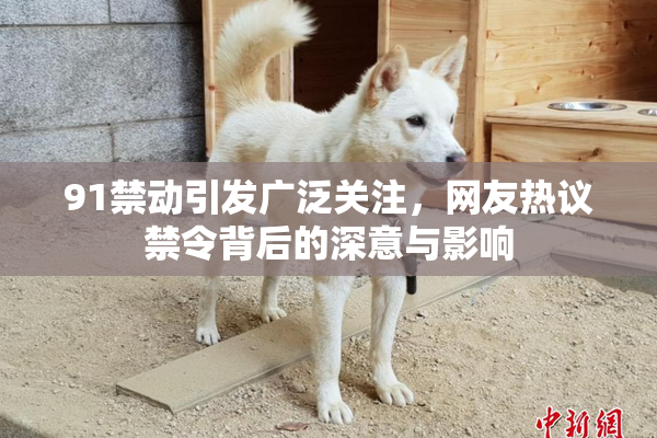91禁动引发广泛关注，网友热议禁令背后的深意与影响
