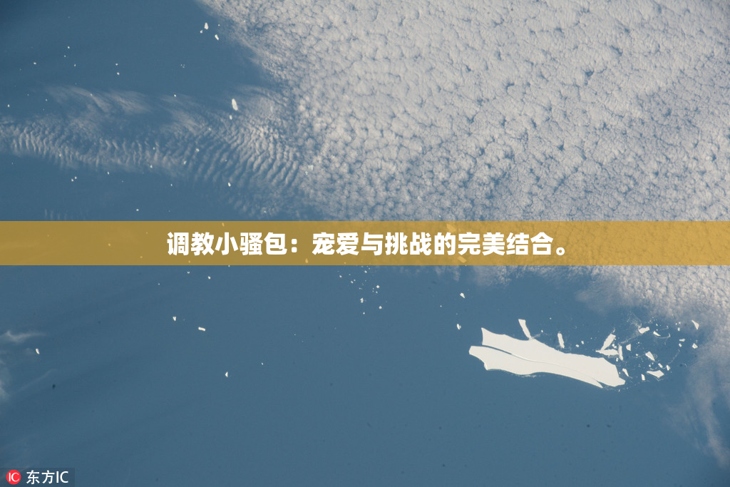 调教小骚包：宠爱与挑战的完美结合。