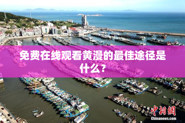 免费在线观看黄漫的最佳途径是什么？