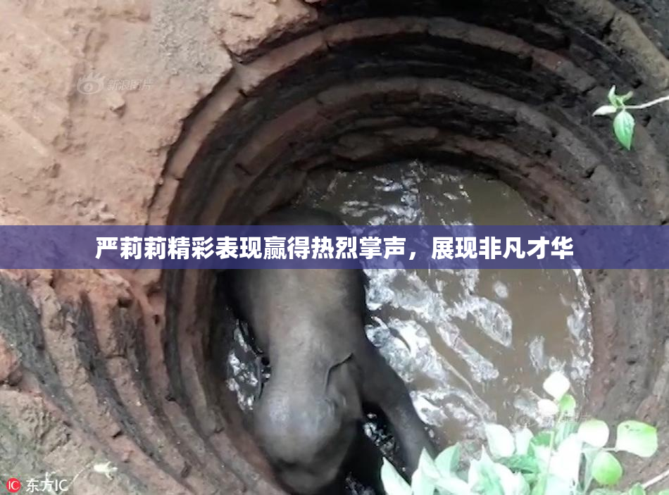 严莉莉精彩表现赢得热烈掌声，展现非凡才华