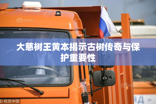 大慈树王黄本揭示古树传奇与保护重要性
