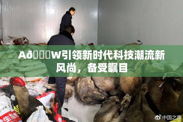 A🔞W引领新时代科技潮流新风尚，备受瞩目