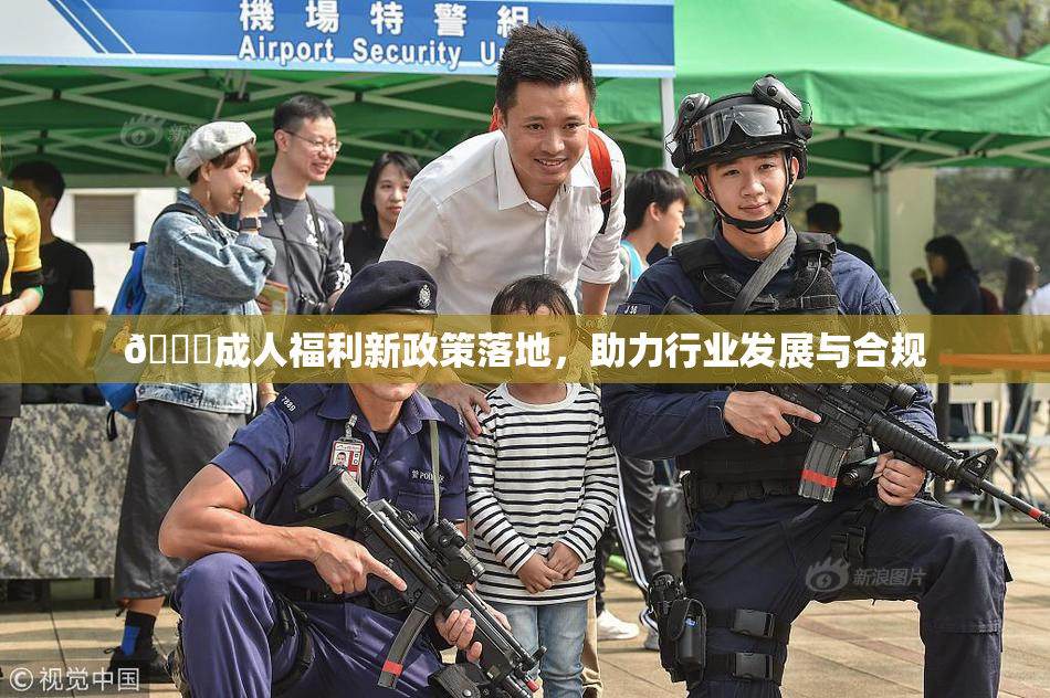 🔞成人福利新政策落地，助力行业发展与合规