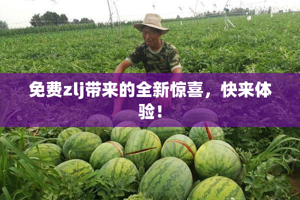 免费zlj带来的全新惊喜，快来体验！