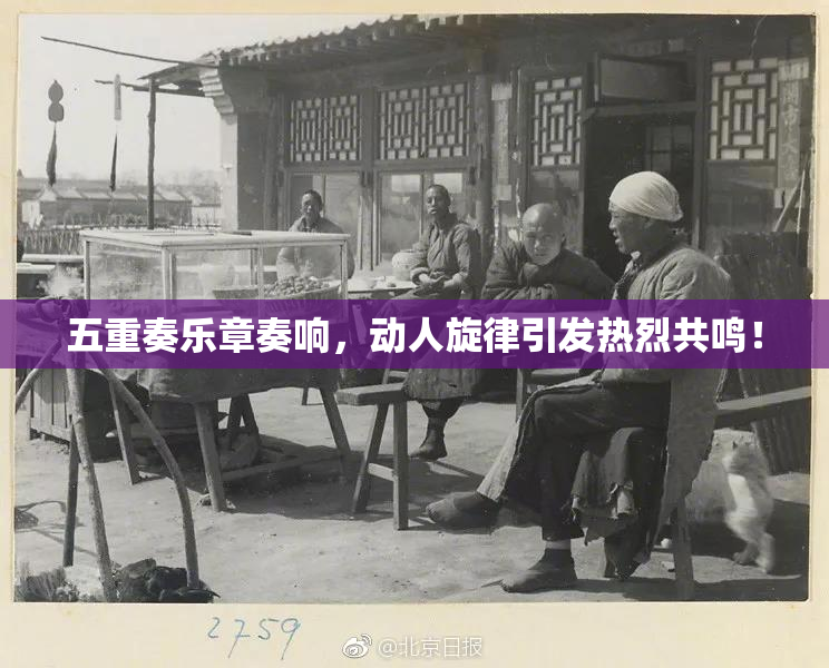 五重奏乐章奏响，动人旋律引发热烈共鸣！