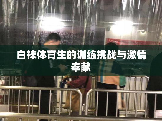 白袜体育生的训练挑战与激情奉献