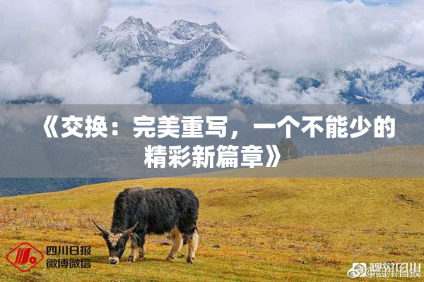 《交换：完美重写，一个不能少的精彩新篇章》
