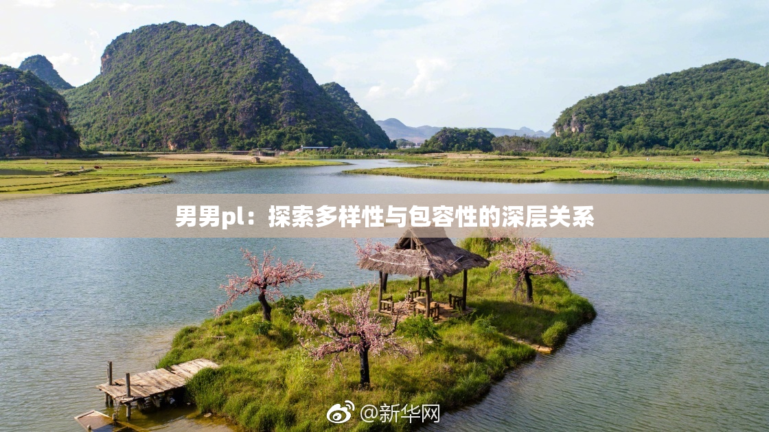 男男pl：探索多样性与包容性的深层关系