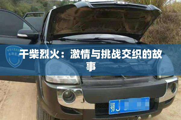干柴烈火：激情与挑战交织的故事
