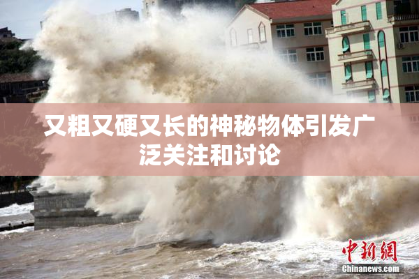 又粗又硬又长的神秘物体引发广泛关注和讨论