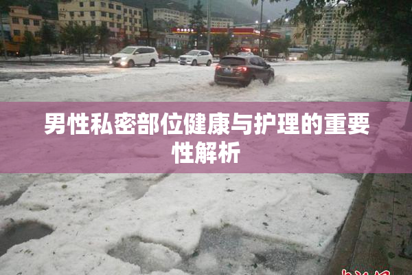 男性私密部位健康与护理的重要性解析