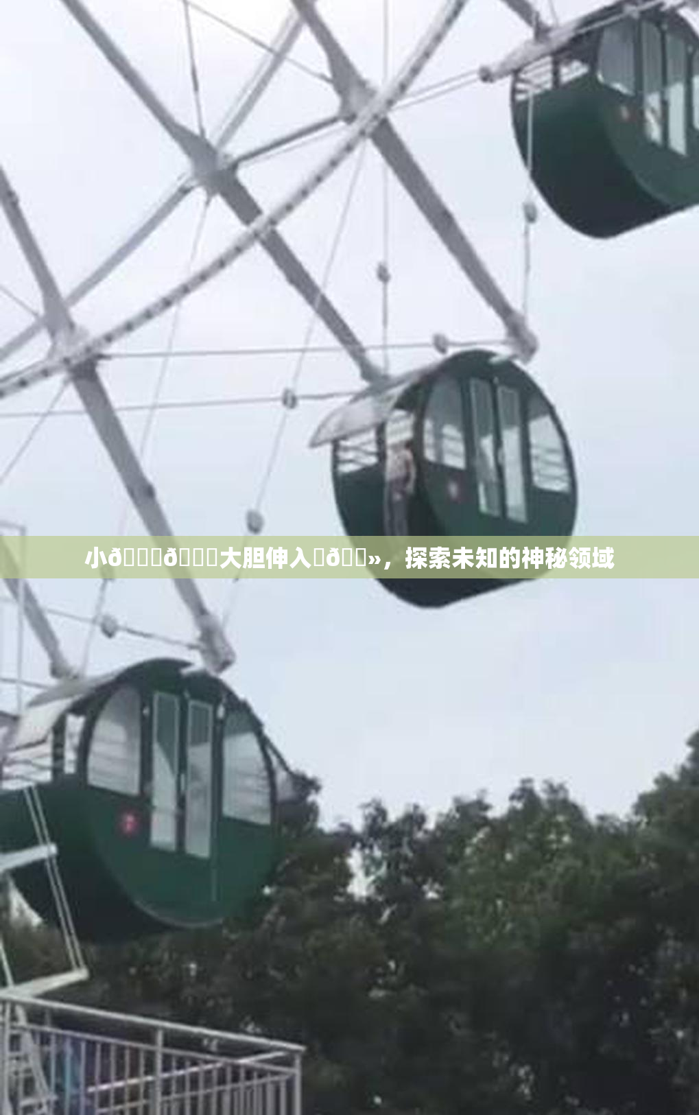 小🐔🐔大胆伸入‌🐻，探索未知的神秘领域