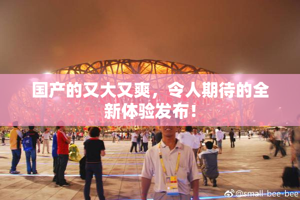 国产的又大又爽，令人期待的全新体验发布！