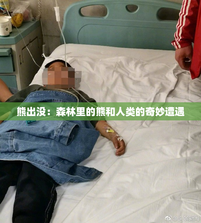 熊出没：森林里的熊和人类的奇妙遭遇