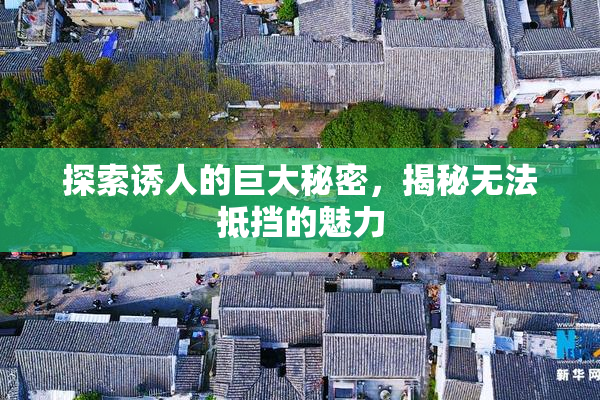 探索诱人的巨大秘密，揭秘无法抵挡的魅力