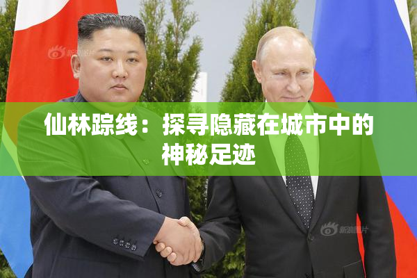 仙林踪线：探寻隐藏在城市中的神秘足迹