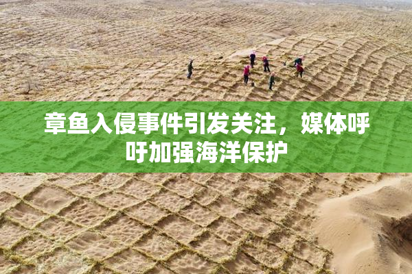 章鱼入侵事件引发关注，媒体呼吁加强海洋保护