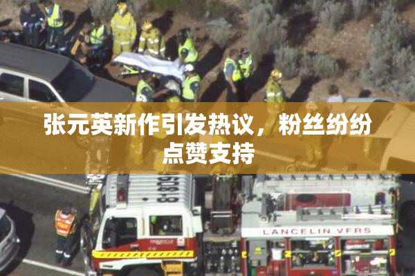 张元英新作引发热议，粉丝纷纷点赞支持