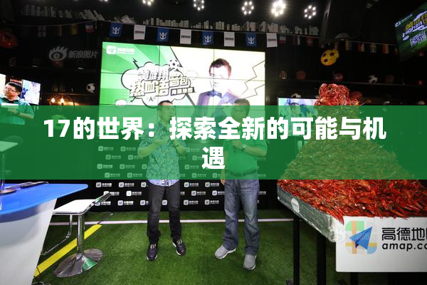17的世界：探索全新的可能与机遇