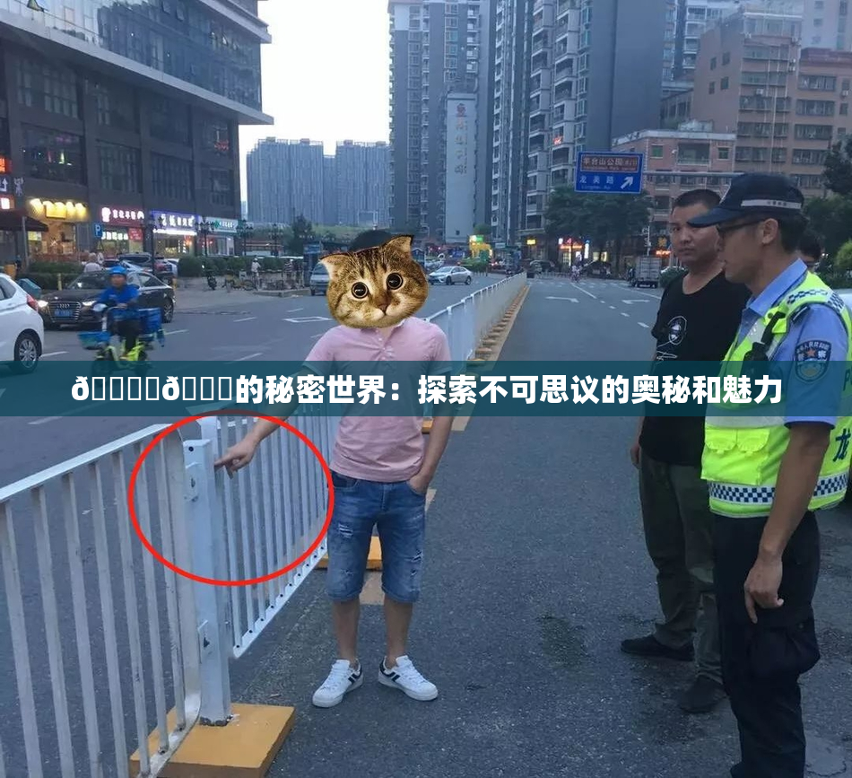 🔞‌🍌的秘密世界：探索不可思议的奥秘和魅力