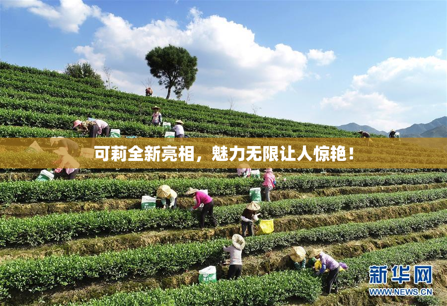 可莉全新亮相，魅力无限让人惊艳！