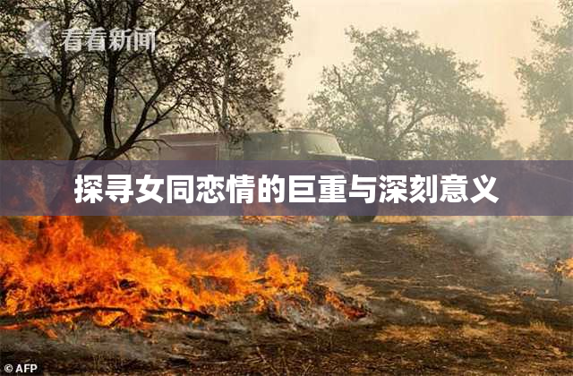 探寻女同恋情的巨重与深刻意义