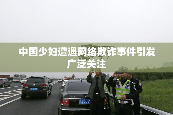 中国少妇遭遇网络欺诈事件引发广泛关注