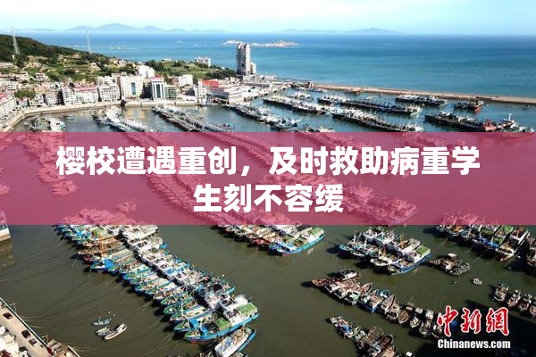 樱校遭遇重创，及时救助病重学生刻不容缓