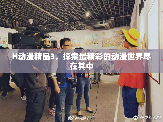 H动漫精品3，探索最精彩的动漫世界尽在其中