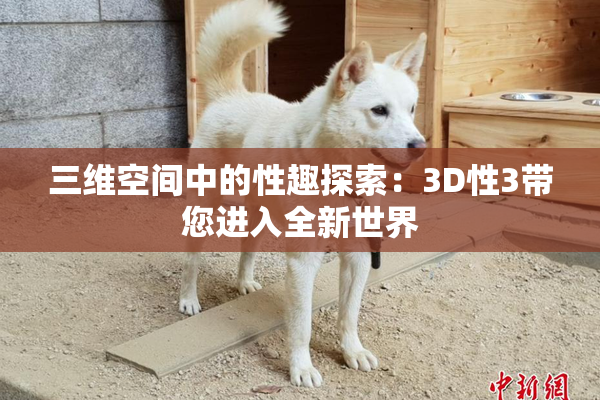 三维空间中的性趣探索：3D性3带您进入全新世界