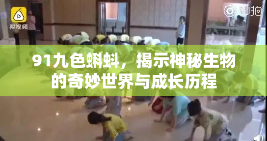 91九色蝌蚪，揭示神秘生物的奇妙世界与成长历程
