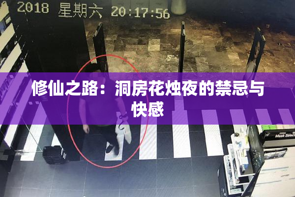 修仙之路：洞房花烛夜的禁忌与快感