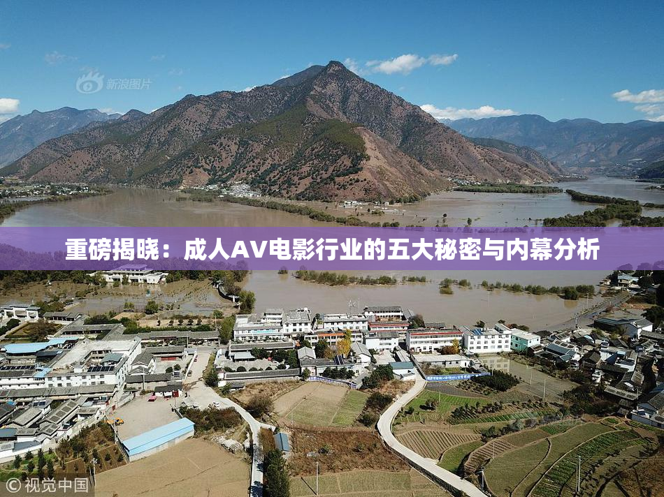 重磅揭晓：成人AV电影行业的五大秘密与内幕分析