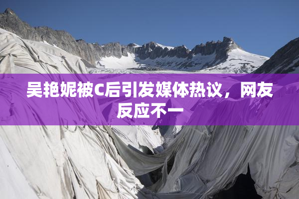 吴艳妮被C后引发媒体热议，网友反应不一