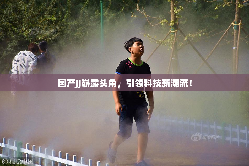 国产JJ崭露头角，引领科技新潮流！