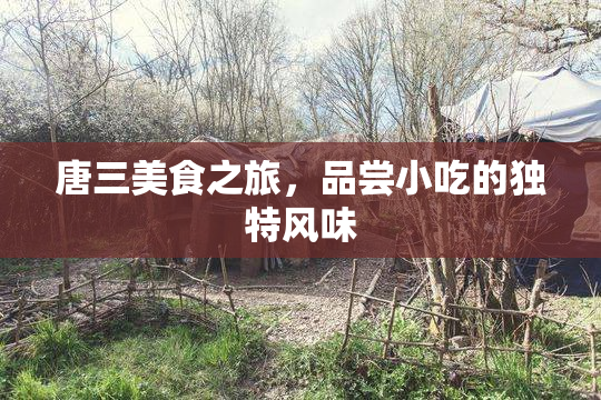 唐三美食之旅，品尝小吃的独特风味