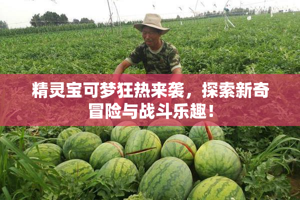 精灵宝可梦狂热来袭，探索新奇冒险与战斗乐趣！