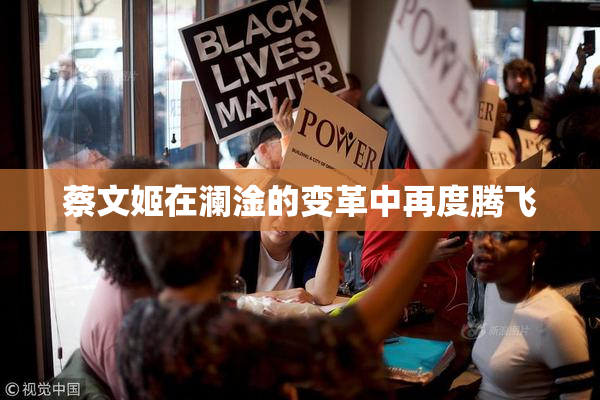 蔡文姬在澜淦的变革中再度腾飞