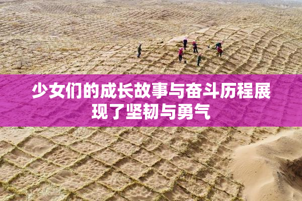少女们的成长故事与奋斗历程展现了坚韧与勇气
