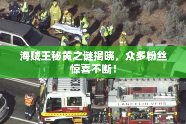 海贼王秘黄之谜揭晓，众多粉丝惊喜不断！