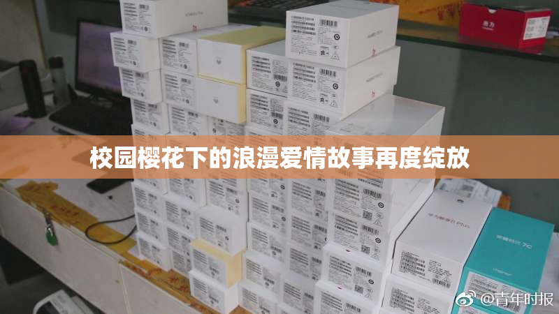 校园樱花下的浪漫爱情故事再度绽放