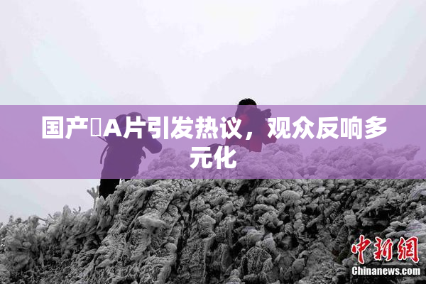 国产婬A片引发热议，观众反响多元化