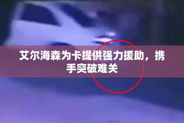 艾尔海森为卡提供强力援助，携手突破难关