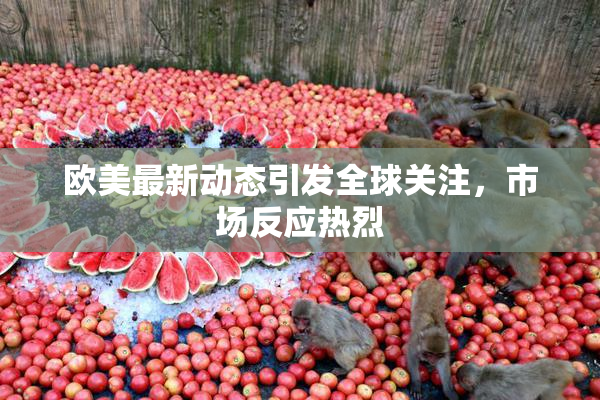 欧美最新动态引发全球关注，市场反应热烈
