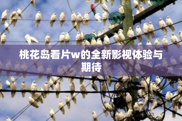 桃花岛看片w的全新影视体验与期待