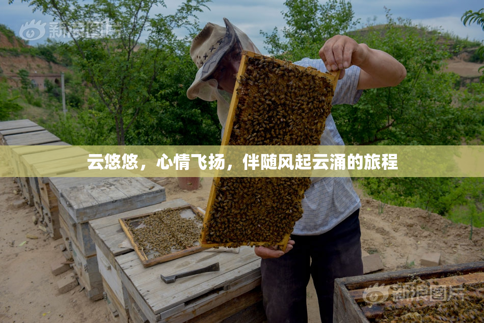云悠悠，心情飞扬，伴随风起云涌的旅程